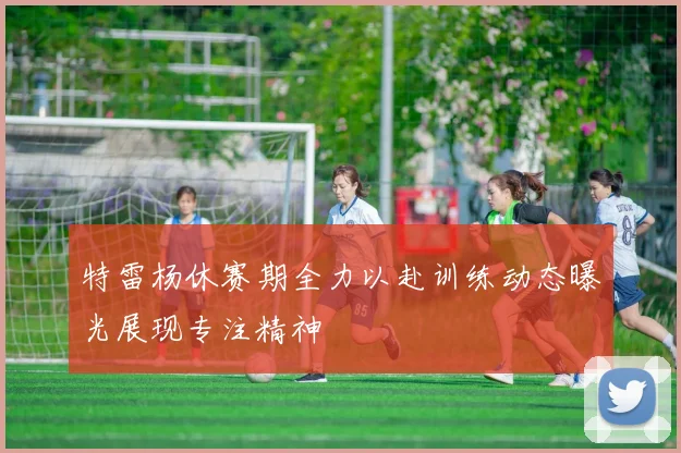 特雷杨休赛期全力以赴训练动态曝光展现专注精神