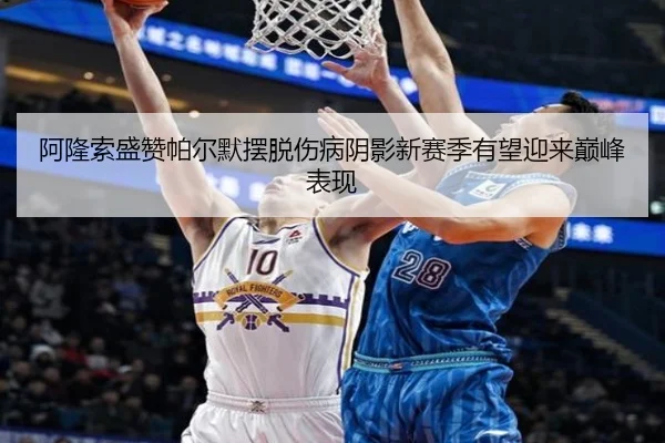 阿隆索盛赞帕尔默摆脱伤病阴影新赛季有望迎来巅峰表现